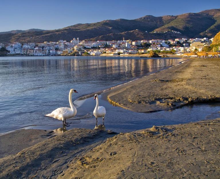 Vila Πλατανακι 1 Family Friendly Ándros Exteriér fotografie